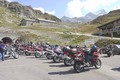 WozzAlly