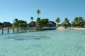 WozzAlly