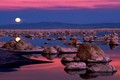WozzAlly