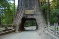 WozzAlly