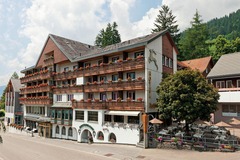 Hirschen