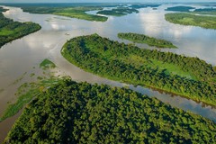 Kongo River
