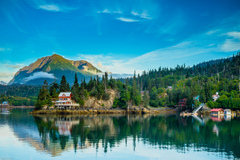 Halibut Cove