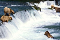 Katmai