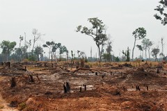 Try Pheap Productions
