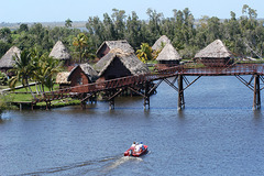 Guama