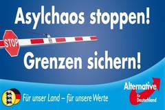 AfD campaign. Goal AG, Segert