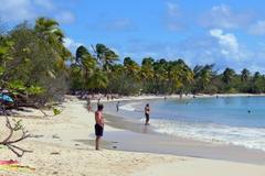 Grande Anse de Salines