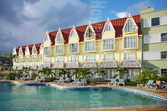 Coco Palm