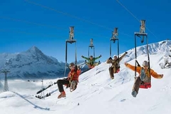 Zip Rider Grindelwald