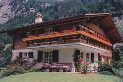 Swiss Advertisement Homes