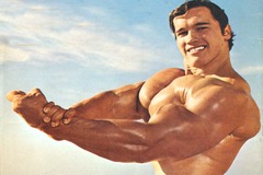 testosterone wonders