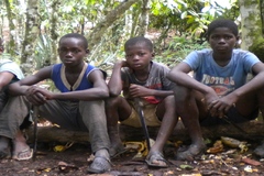 Cocoa Child Slaves, Ivory Coast