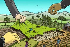 Landgrabbing Giants