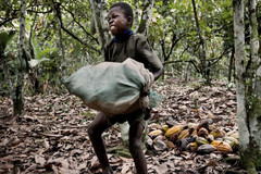Swiss Supported Chocolate Slavery