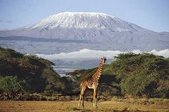 Kilimanjaro, Tanzania