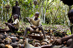 Cocoa Child Slavery