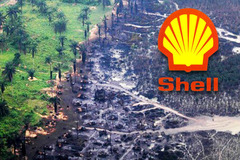 Royal Dutch Shell Nigeria Delta