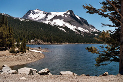 Tioga Lake