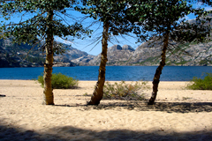 Benson Lake, Tuolumne, Yosemite CA