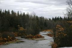 Anchor River