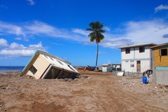 Colihaut, Erika