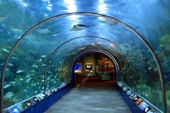 Maui Ocean Center