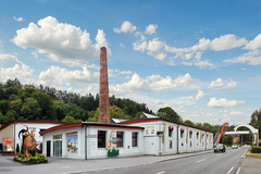 Dino Museum