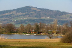 Lake Pfäffikon, Bachtel