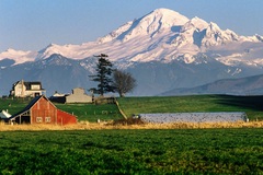 Mt Baker Farmland