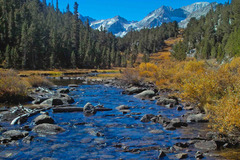 Rock Creek, Eastern Sierra Nevada