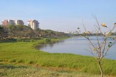 Agara Lake, Bangalore