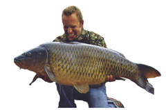 Lake Lauerz carp record.