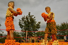 Jucker Brothers Pumpkins
