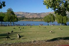 LakeCunningham, San Jose CA