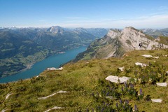 Walensee