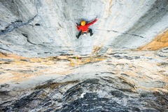 North Face