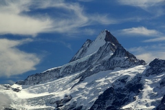 Schreckhorn North Face