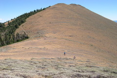 Moore Mountain, Aldrich Range